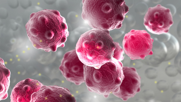 诺如病毒广谱筛查的“快检利器”